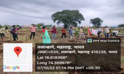 Tree Plantation activity at Jagannath Temple Talandage